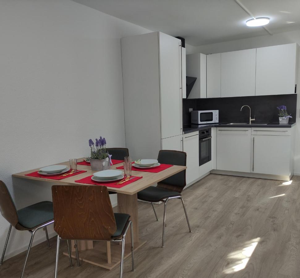 2 Zimmerwohnung In Bietingen ゴットマーディンゲン エクステリア 写真